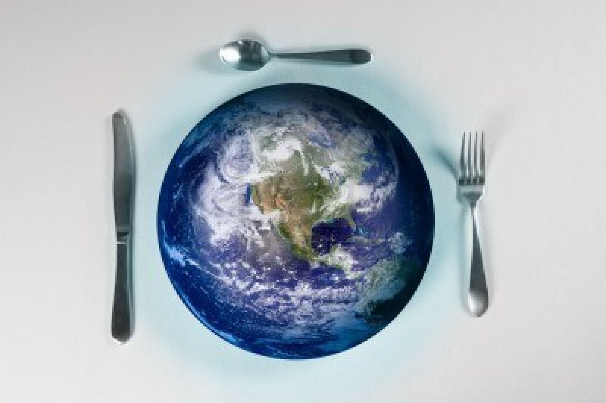 How to end world hunger